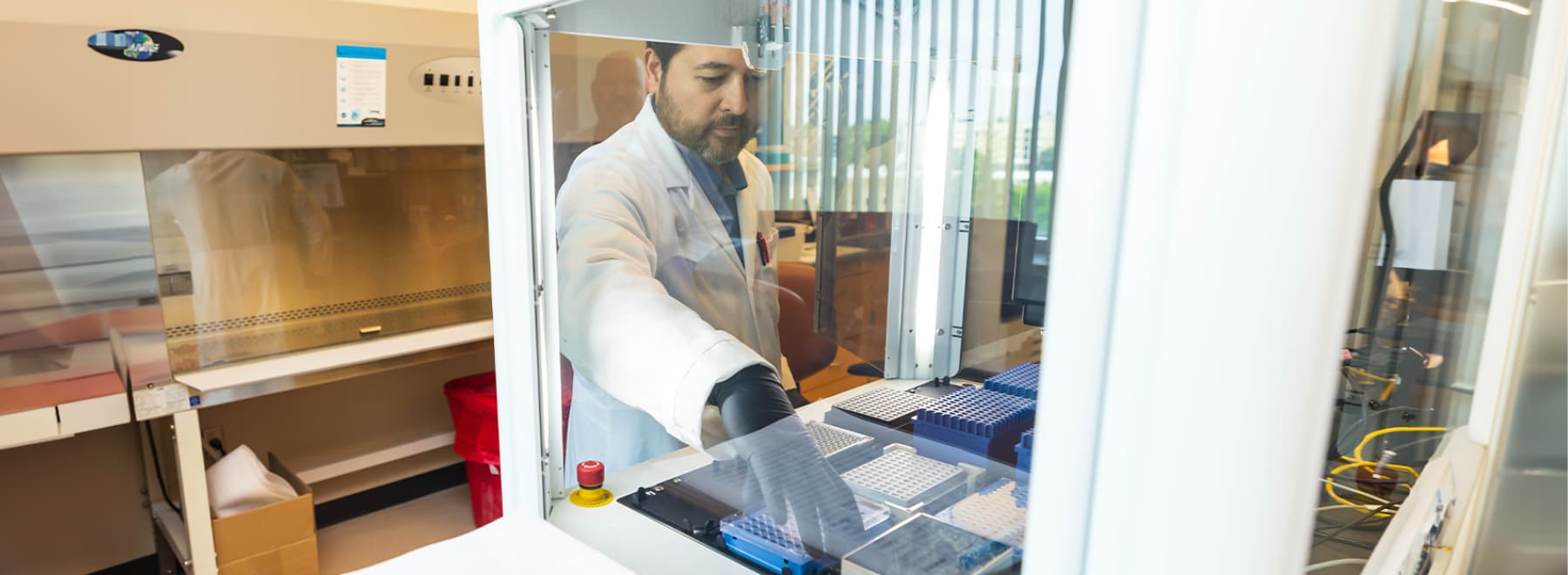 Man in lab